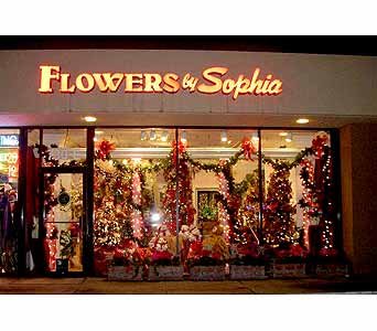 Flowers by Sophia