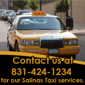 Salinas Yellow Cab Co