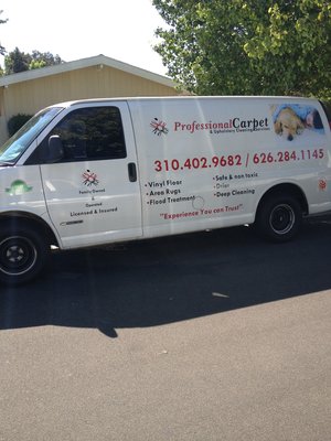 Professional Carpet & Upholstery Cleaning Services