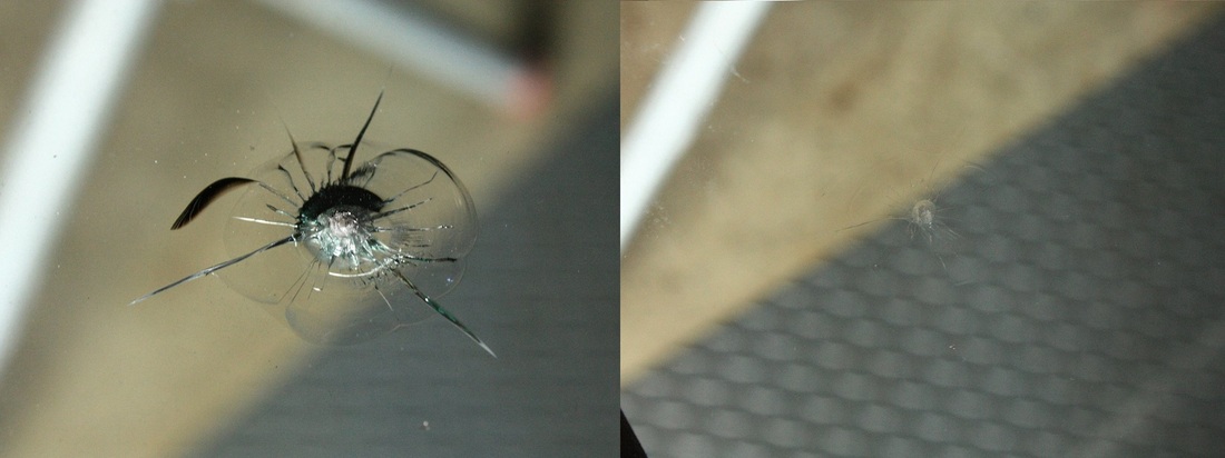 Spider Auto Glass
