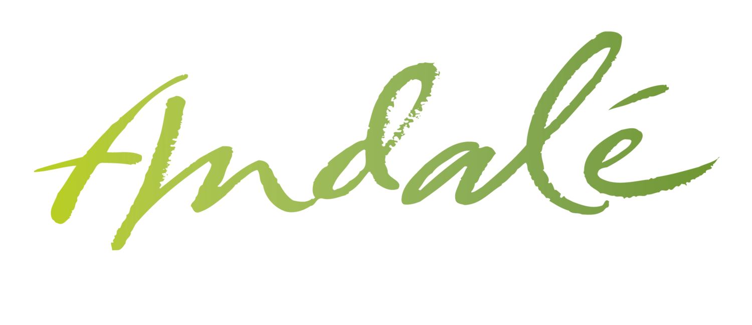 Andale Taqueria Mexican Restaurant